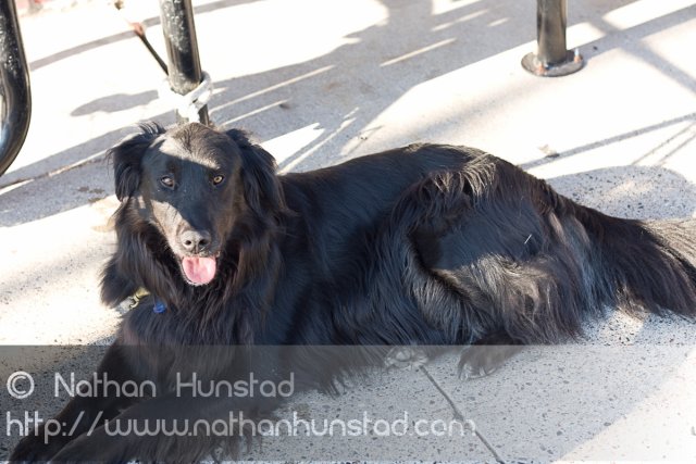 Grand_Avenue_2008-08-24_IMG_1516